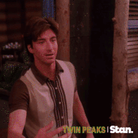 twin peaks GIF by Stan.