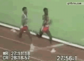 janvejdelek  GIF