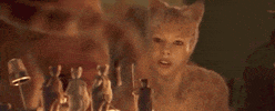 Cats 2019 GIF by Vulture.com