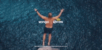GIF by Wingo