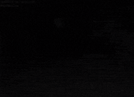 phoenixuk moat hollow sunset GIF