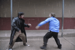 martial arts fighting GIF by Leroy Patterson
