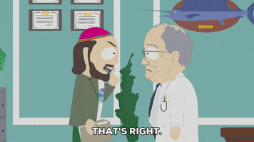 doctor suing GIF by South Park 