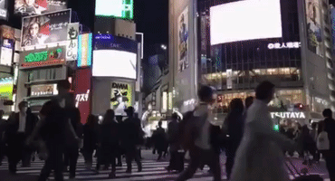 jesusleon  GIF