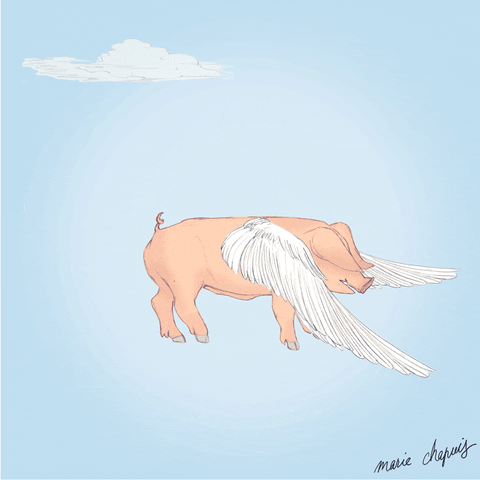 When Pigs Fly Animation GIF by Marie Chapuis