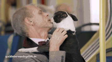 Gucklieberwasdirgefaellt GIF by TV NOW