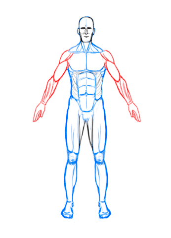 lucasmoraes "anotomy" "anotomia" "turn around" "anotomy" GIF