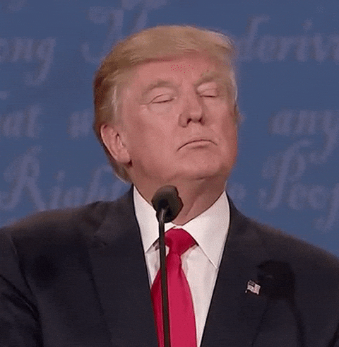 Giphy - Donald Trump Water GIF by Election 2016