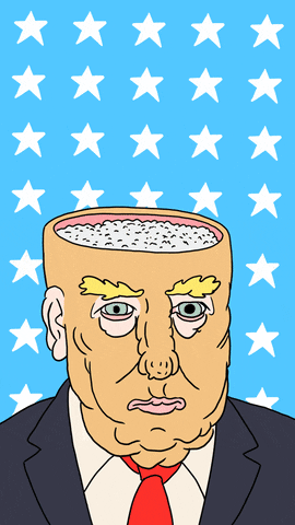Election 2016 Dump Trump GIF by lorenz wunderle