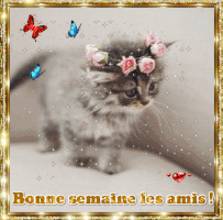 SB-CM bonne semaine GIF