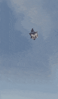 tent flying GIF by Josh Rigling