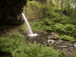 levisim  GIF
