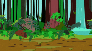 amazon forest GIF by South Park 