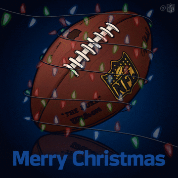 merry christmas GIF by NFL