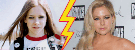 piggytron piggytron GIF