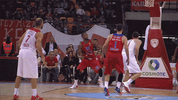 rejected euroleague basketball GIF by EuroLeague