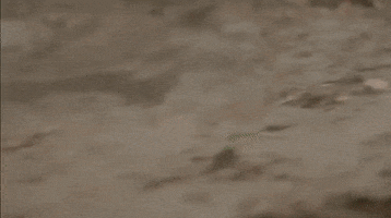 earthquake GIF by Aftermath TV