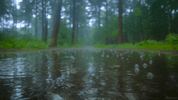 water rain GIF by Living Stills