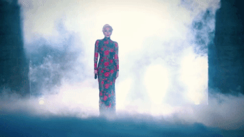 victoria's secret fashion show GIF by Lady Gaga