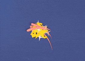perfect gold star GIF by MailChimp