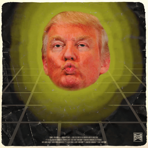 trump election GIF by Super Deluxe