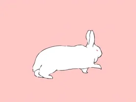 animation rabbit GIF by brontron