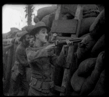 meatheadmilitia  GIF