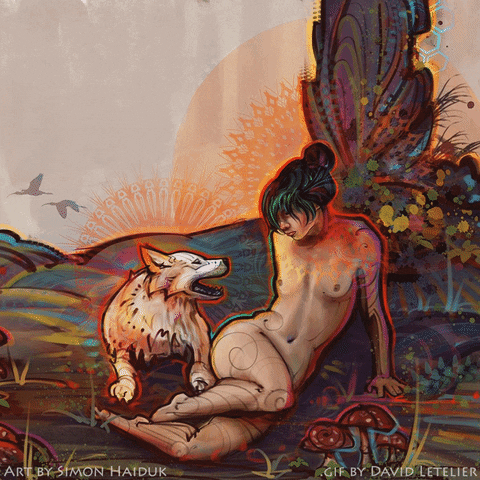 simonhaiduk dog illustration trippy psychedelic GIF