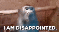 disappointed monkey GIF by Justin