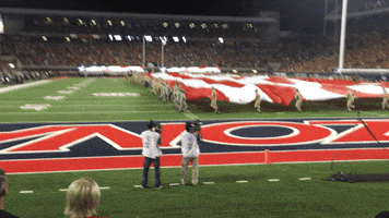 ryanclaw u.s. flag bear down GIF