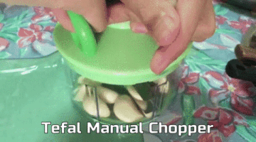 henrytan-6228 food recipe tefal penang GIF
