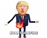 Pants Fire Gifs Get The Best Gif On Giphy Pants Fire Gifs Get The Best Gif On Giphy