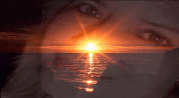 carinhoseluxogmailcom  GIF