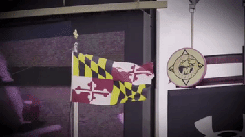 ncaa sports terps GIF by Maryland Terrapins