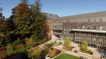 200.gif?cid=fc005b08911048cca12a50ece1731ca32a465cdc0e369134&rid=200.gif&ct=g