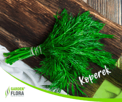 gif_user321 garden GIF