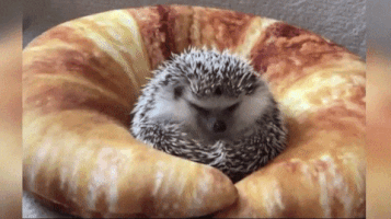 infowdmailru  GIF
