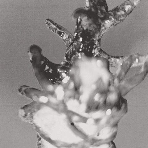 chrisbreuer vinyl envy crazysane records the lumes GIF