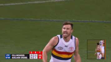 adelaidecrows reactions celebrations adelaide crows andy otten GIF