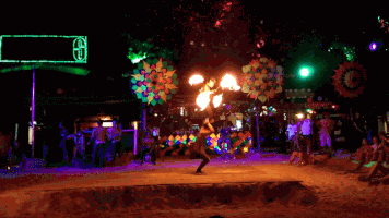 liliamfernandes  GIF
