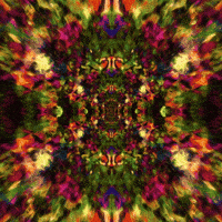 art loop GIF by Feliks Tomasz Konczakowski