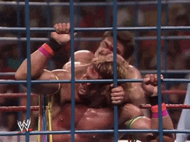 Ultimate Warrior Wrestling GIF by WWE