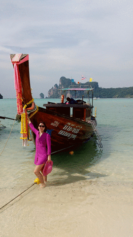 liliamfernandes  GIF