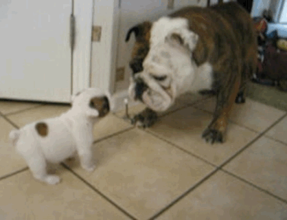 source.gif