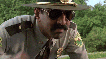 pulled over super troopers GIF by Rodney Dangerfield