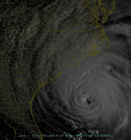 elizabethmontgomery  GIF