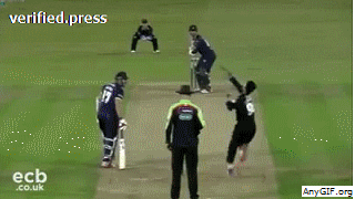 mohammadtajulislam  GIF