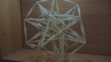 makyarevalo recycledart pipettetips icosahedroninadodecahedron GIF