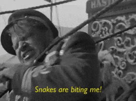 classic film snakes GIF by Warner Archive