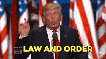https://media0.giphy.com/media/l41YjnSxeGN58yAus/200.gif#192-grid1